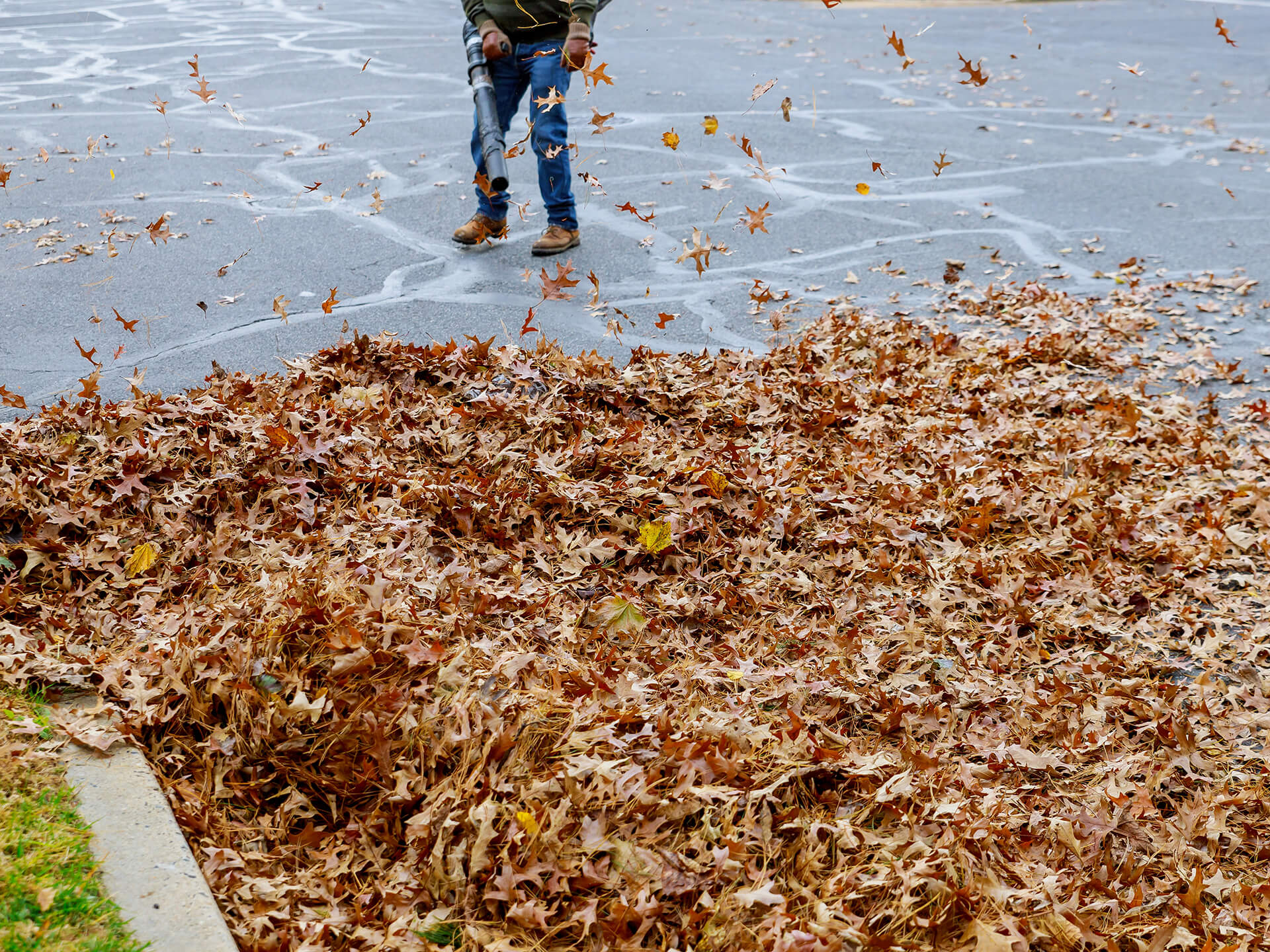 Leaf Clean Up Services West Chester PA