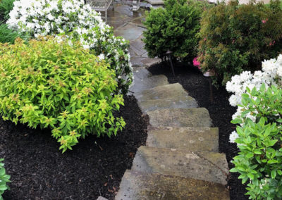 Landscaping Portfolio West Chester PA