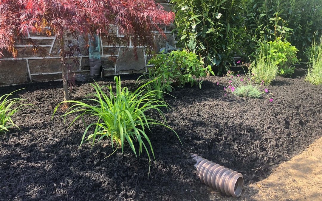 Spring Cleanup Services - Clean Peak Landscaping