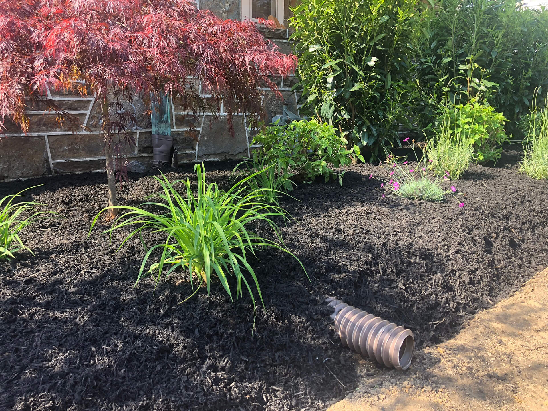 Spring Cleanup Services - Clean Peak Landscaping