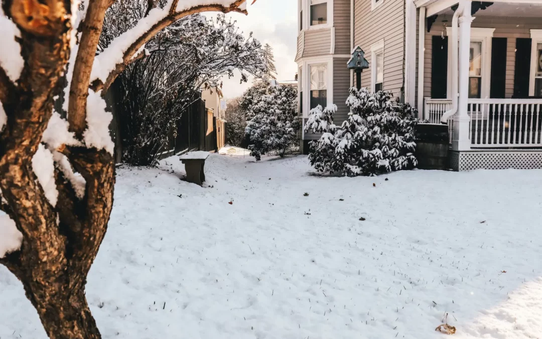Winter Landscaping in West Chester: What kind of landscaping services do you need?