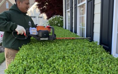Landscape Maintenance