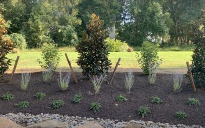 Mulching