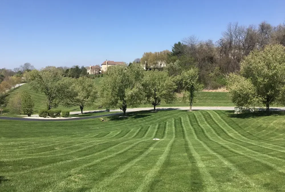 landscaping in west chester pa