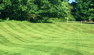 Lawn Mowing