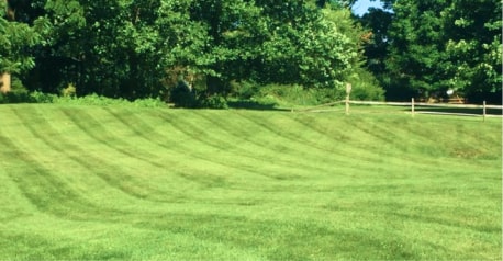 Green lawn that is freshly cut