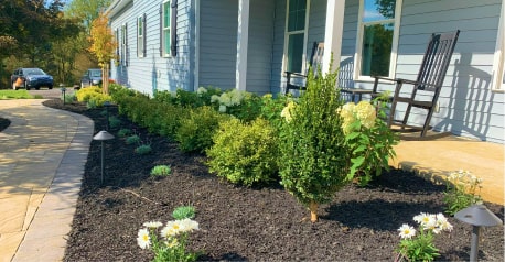 Green lawn that is freshly cut