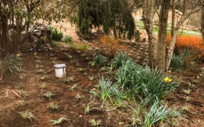 Gardening