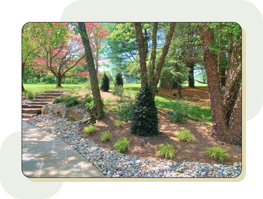 Beautiful garden, trees, and walkway 