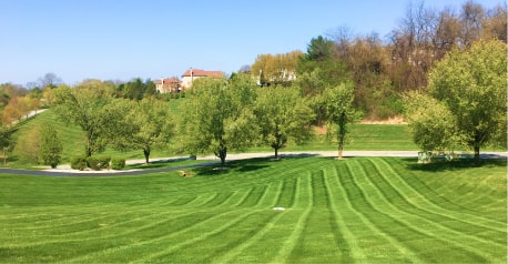 Green lawn that is freshly cut