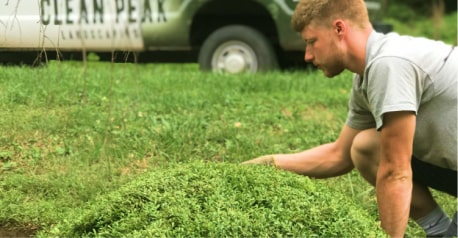 Green lawn that is freshly cut