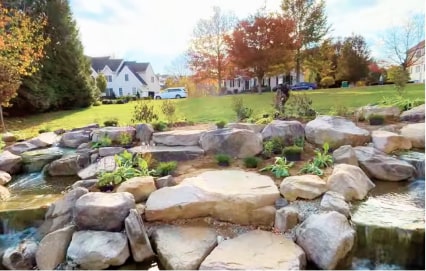 Drip irrigation with grass