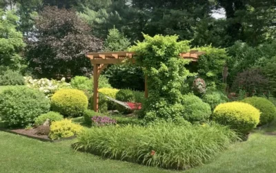 Landscape Design & Installation