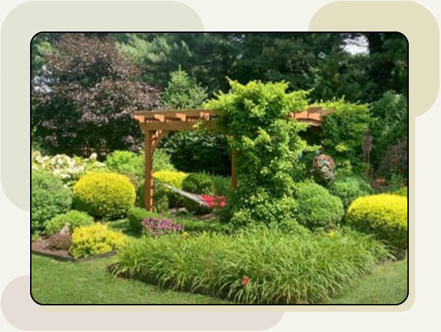 Image of a beautifully landscaped garden