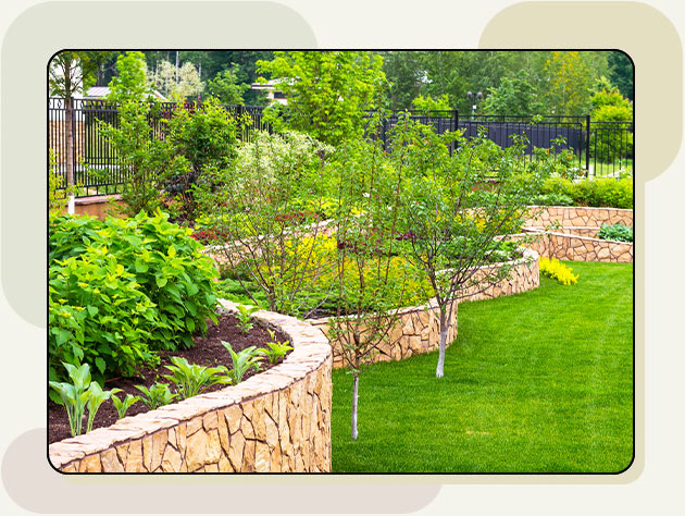 Landscaping-Packages-Page-Header Image of a beautifully landscaped garden
