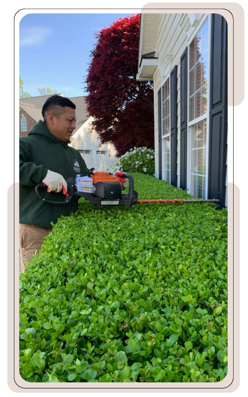 Clean Peak landscaping employee trimming shrubs