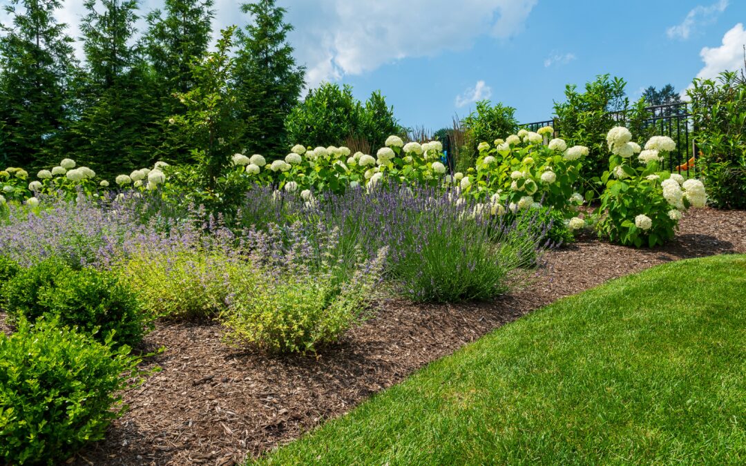 Low-Maintenance Landscaping That Still Looks High-End