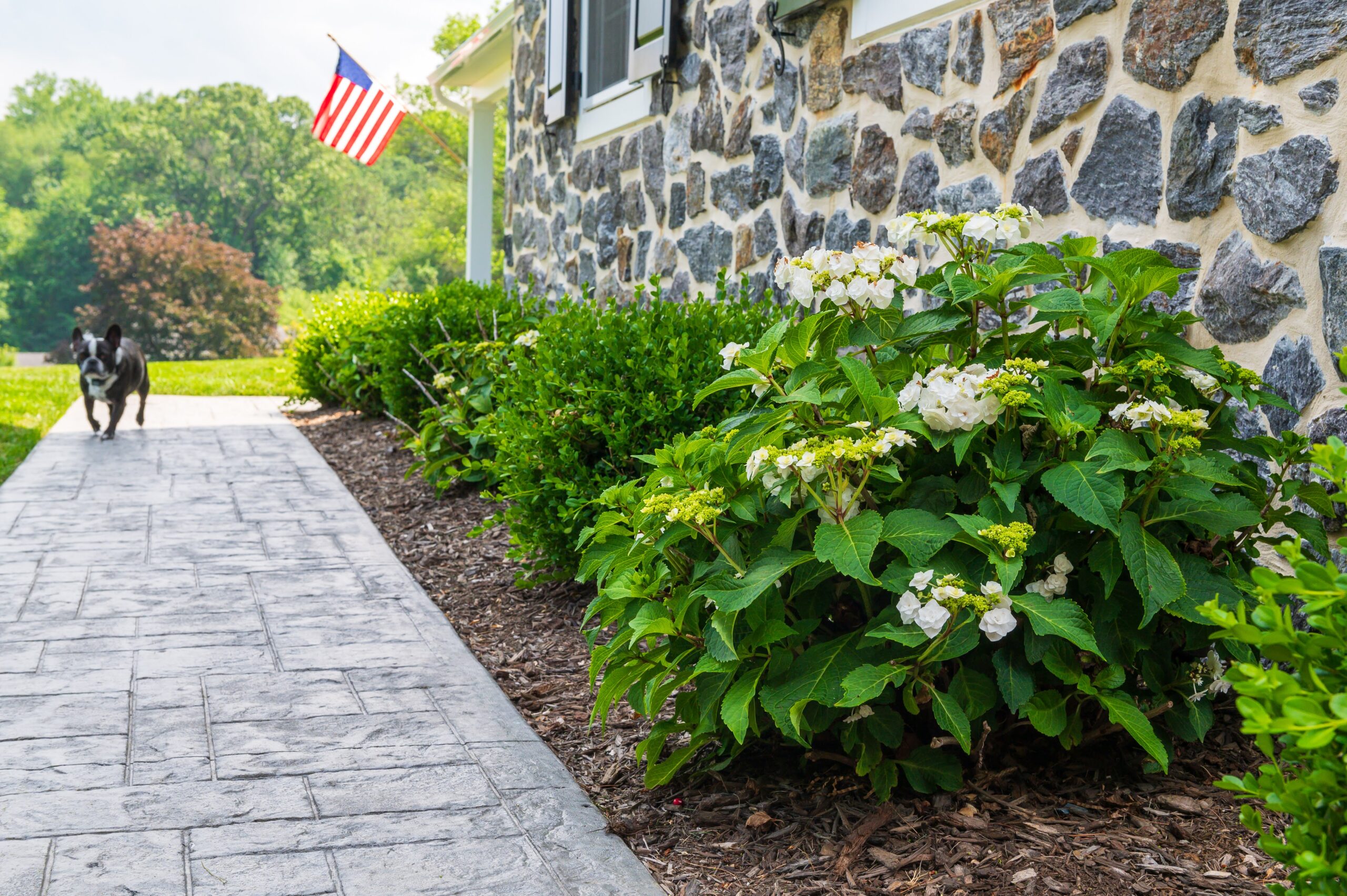 Spring Cleanup Services - Clean Peak Landscaping
