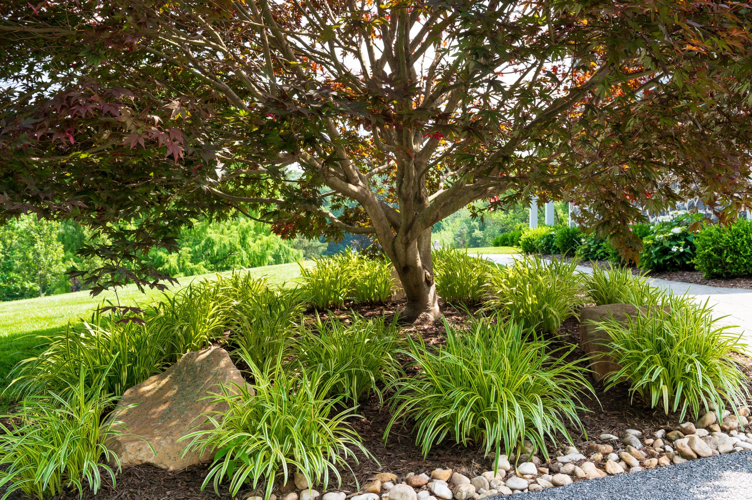 Green lawn that is freshly cut