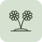 Flowers-Icon