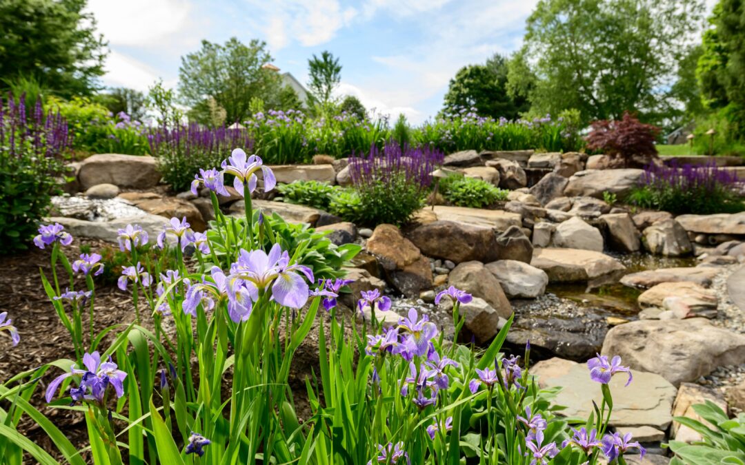 Can You Trust Your Landscaper? Red Flags vs. Green Flags in Chester County