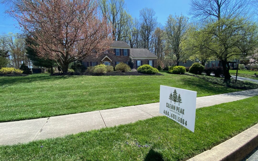 Landscape Maintenance Checklist and Tips for Chester County Yards